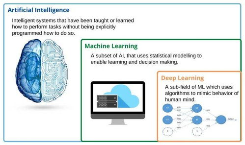人工智能及其对泌尿系统疾病和管理的影响